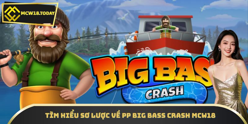 Tìm hiểu sơ lược về PP Big Bass Crash MCW18